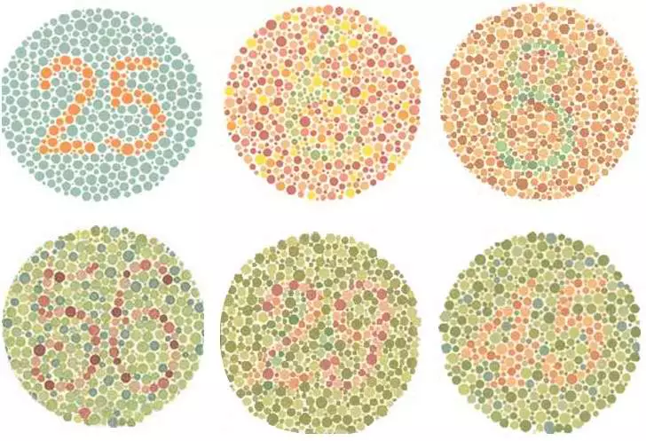 What are different types of quizzes- Visual Quiz
