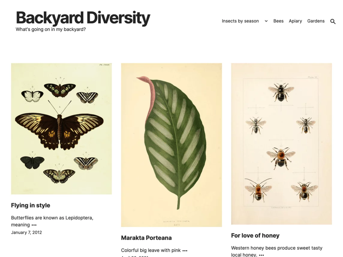 10+ Best Full Site Editing Themes for WordPress What are Full Site Editing themes- Kiyono