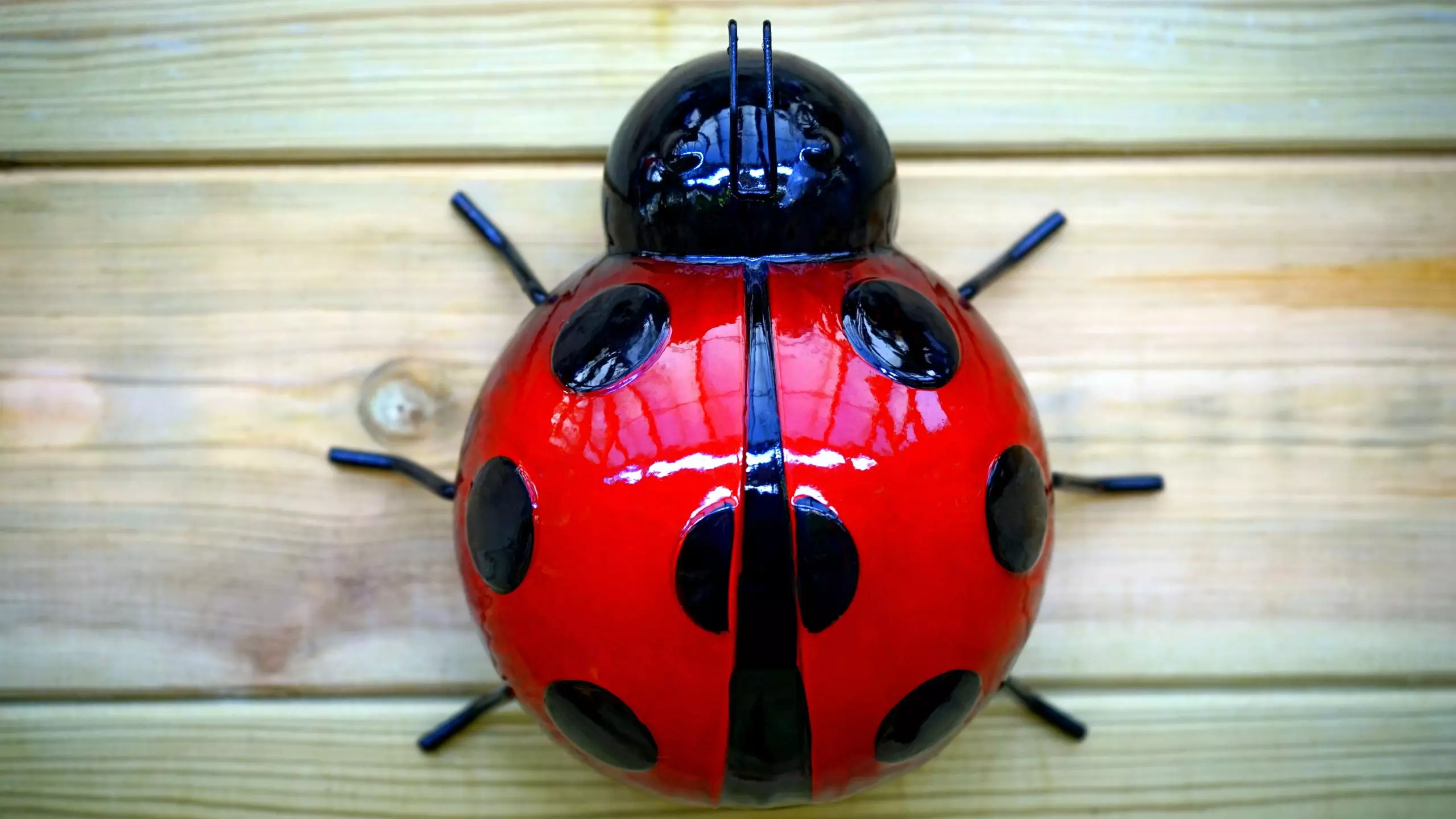Different Types of Clutterbug