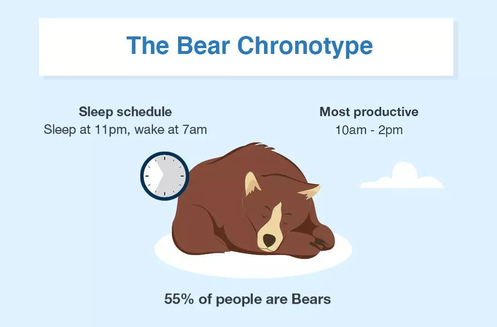 How to Create a Chronotype Quiz- Bear Chronotype