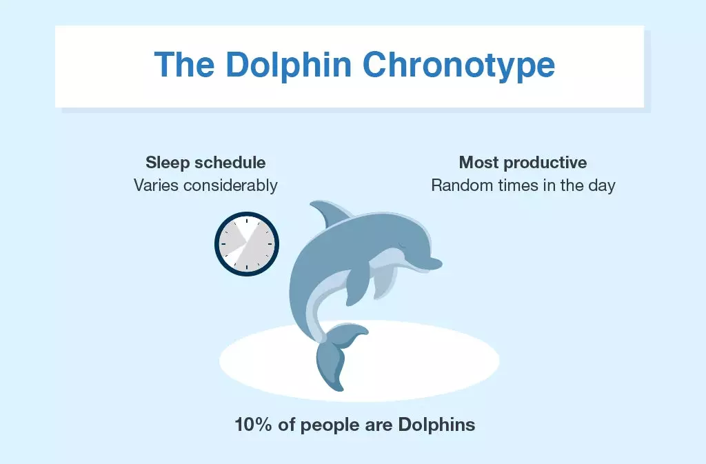 How to Create a Chronotype Quiz- Dolphin Chronotype